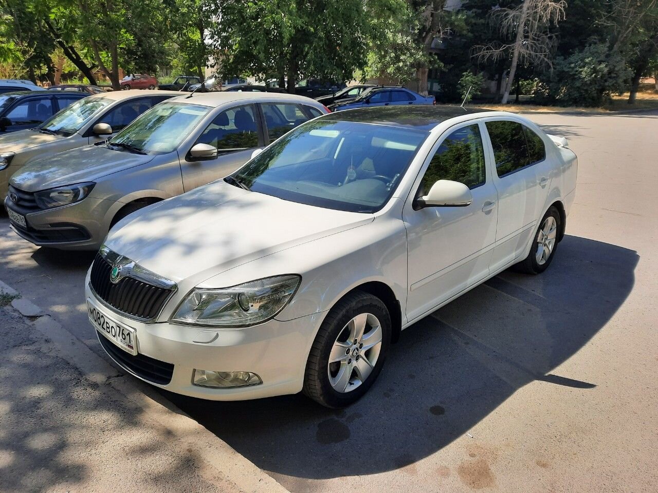 Skoda Octavia: фото владельца