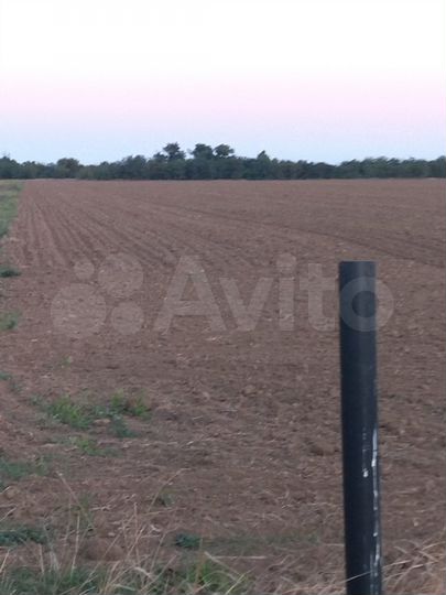 Участок 10 га (СНТ, ДНП)