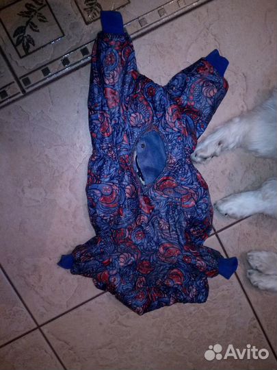 Комбинезон для собаки