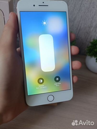 iPhone 8 Plus, 64 ГБ