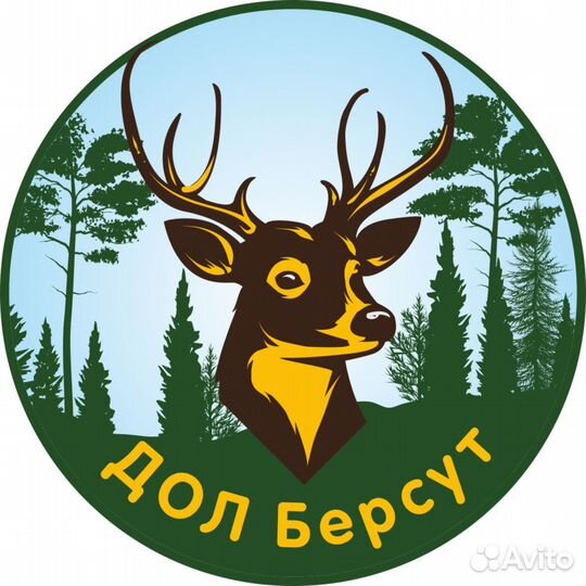 Вожатый в детский лагерь