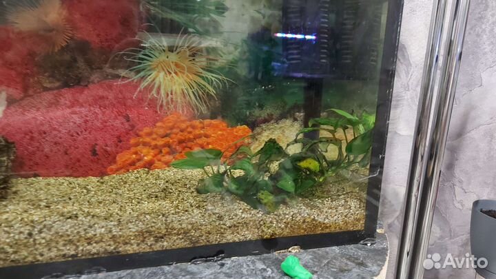 Аквариум 60л
