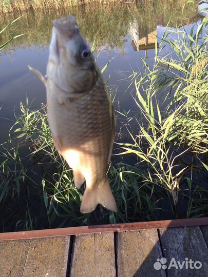 Рыбалка в лиманах