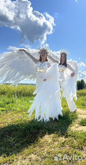 Крылья ангела продажа