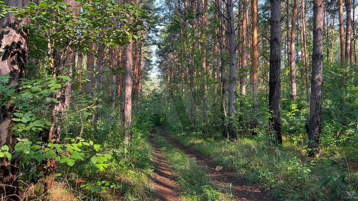 Участок 4,33 га (СНТ, ДНП)