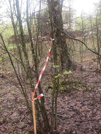 Участок 15 сот. (ИЖС)