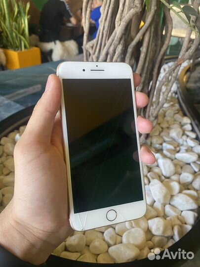iPhone 8 Plus, 64 ГБ