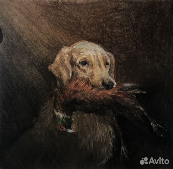 Картина собака 