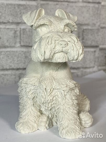 Цвергшнауцер