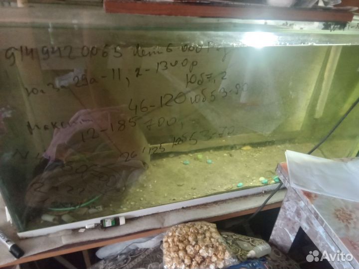 Аквариумы разные