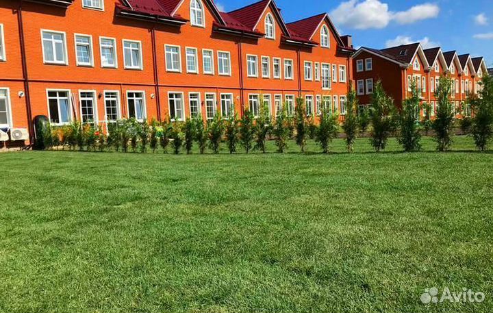 Рулонный газон под ключ