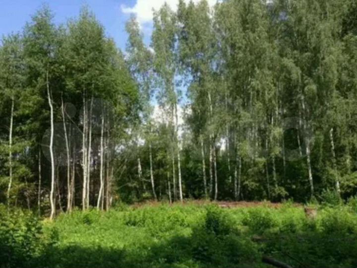 Участок 24 сот. (СНТ, ДНП)