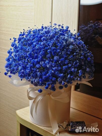 Букет из гипсофилы в коробке