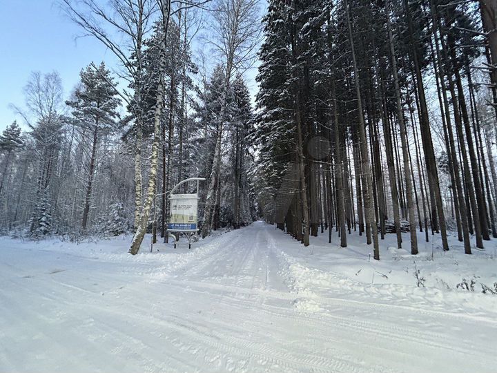 Участок 10 сот. (ИЖС)