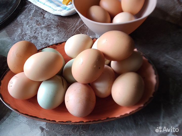 Домашние куриные яйца