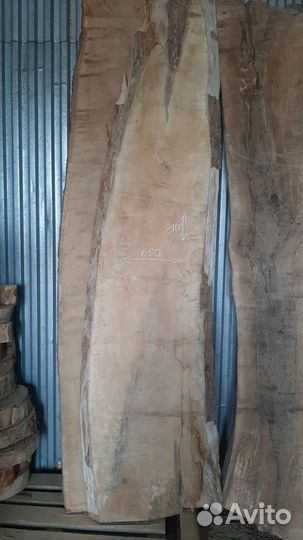 Слэб Спил карагач ясень дуб клён орех бук