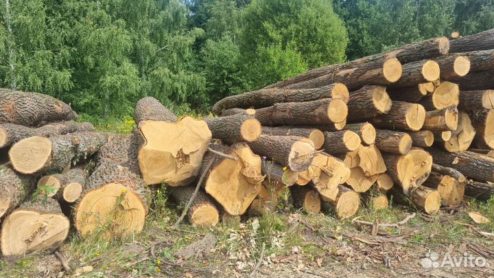 Стройматериалы дуб кругляк