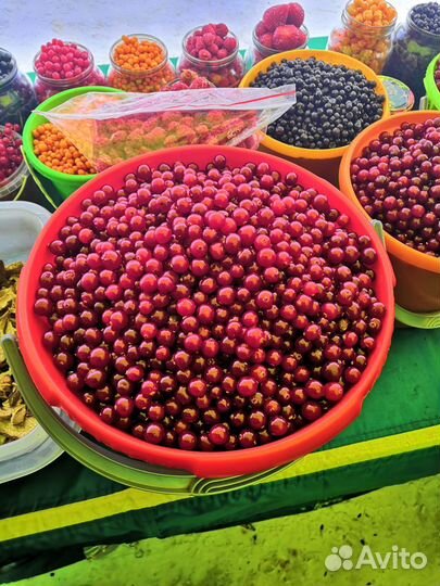 Клюква, черника, брусника, облепиха, малина и др