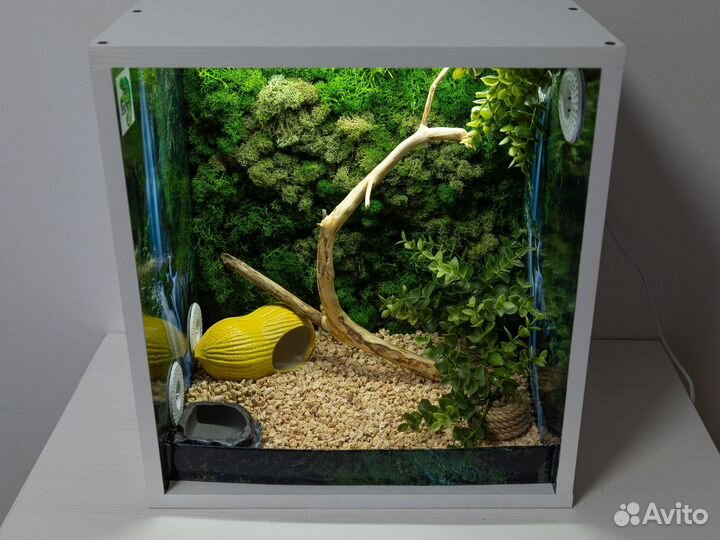 Террариум для рептилий (производство)