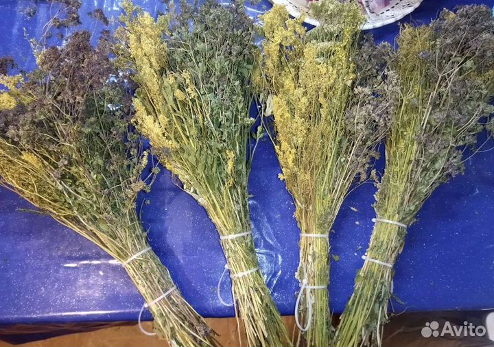 Душистые букеты для бани и дома запарки чай травян