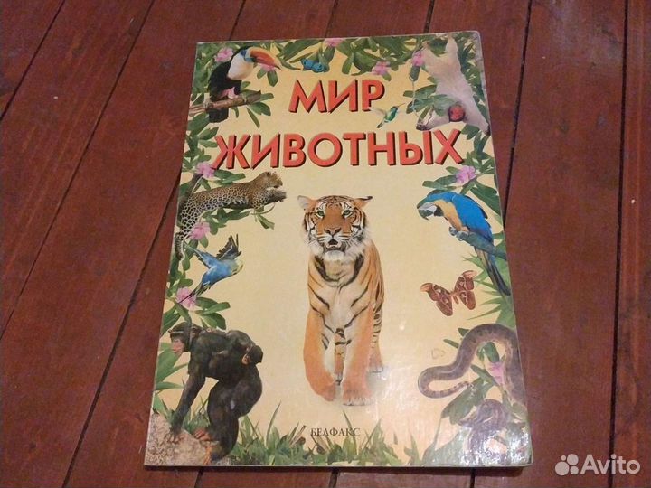 Книга для детей Мир животных