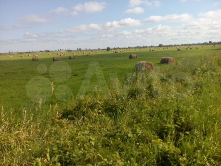 Участок 78 га (СНТ, ДНП)