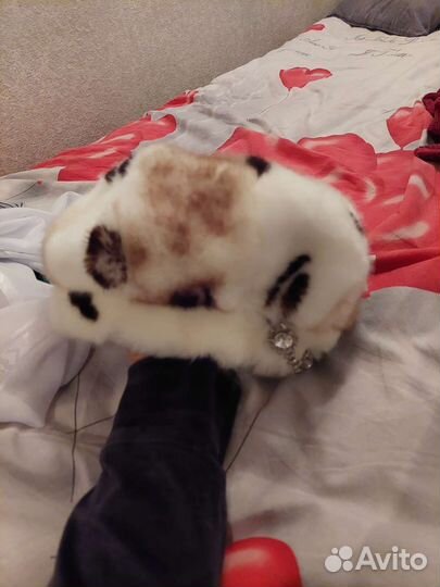 Шапка женская