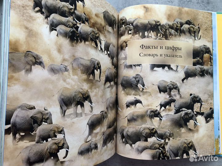 2 новых книги Энциклопедия самых интересных фактов