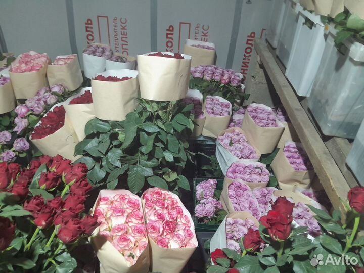 Роза оптом и в розницу,101роза-4000ру