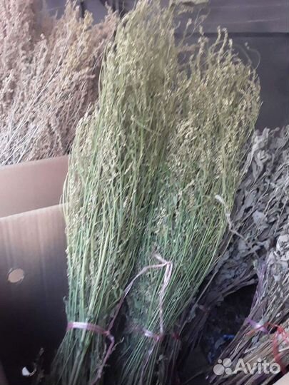 Багульник-для бани