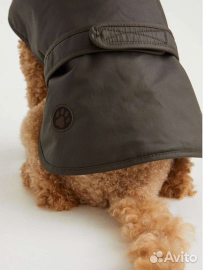 Пальто H&M для собак
