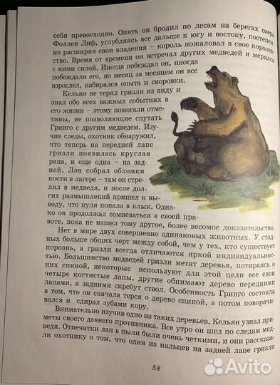 С. Эрнест - Монарх. Большой гризли Таллака