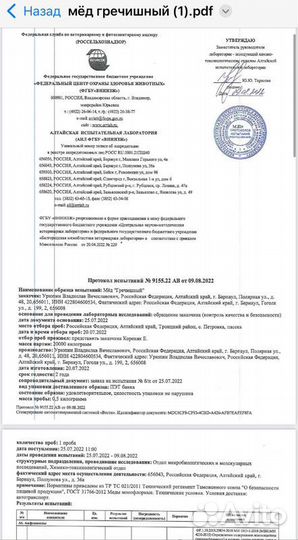 Гречишный мед оптом