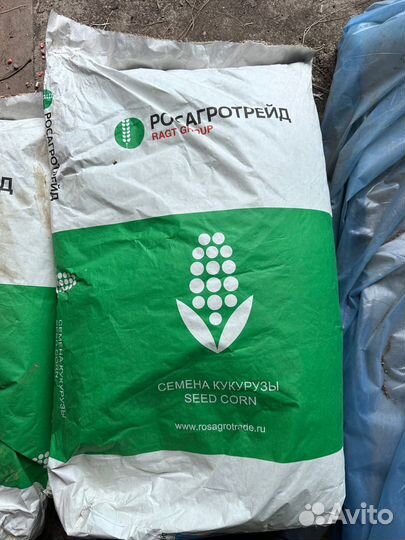 Семена кукурузы росагротрейд