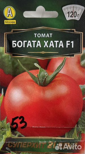 Рассада помидор