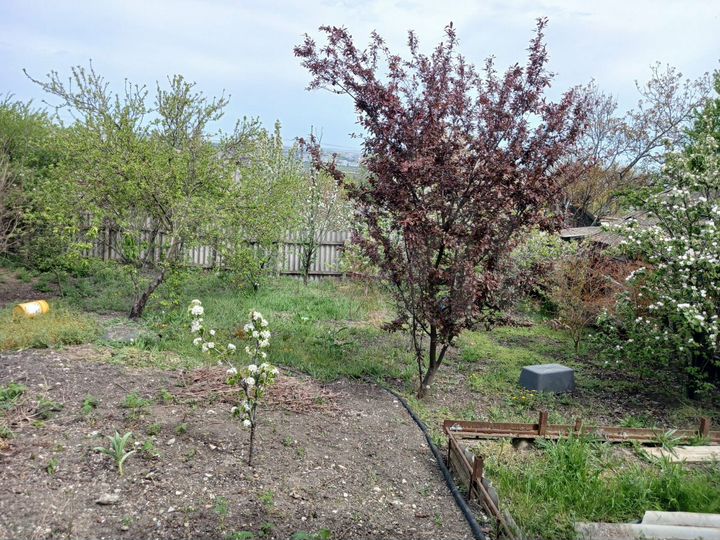 Дом 800 м² на участке 6 сот.