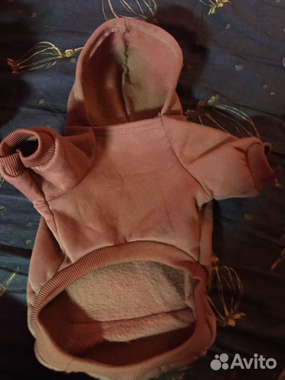 Толстовка для собак и кошек