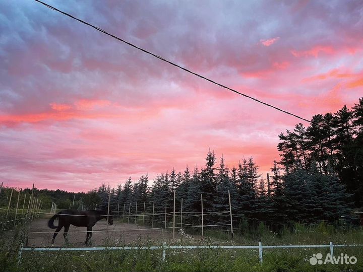 Постой для лошадей
