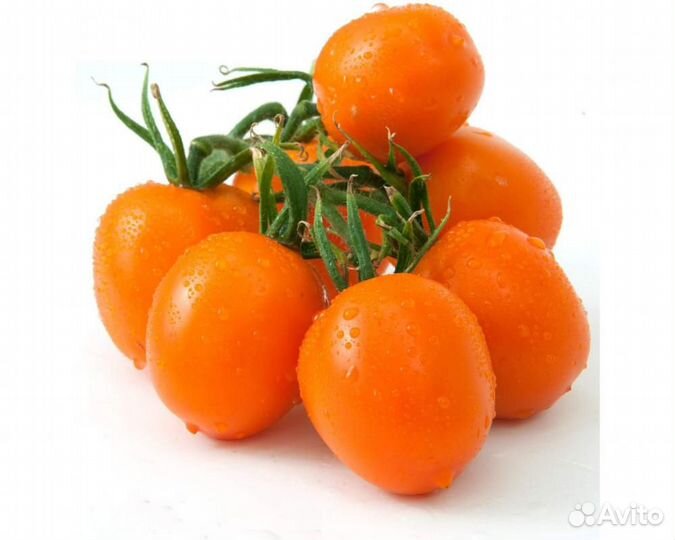 Семена Томата 