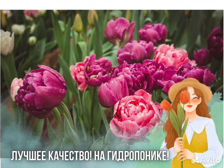 Тюльпаны оптом к 8 марта