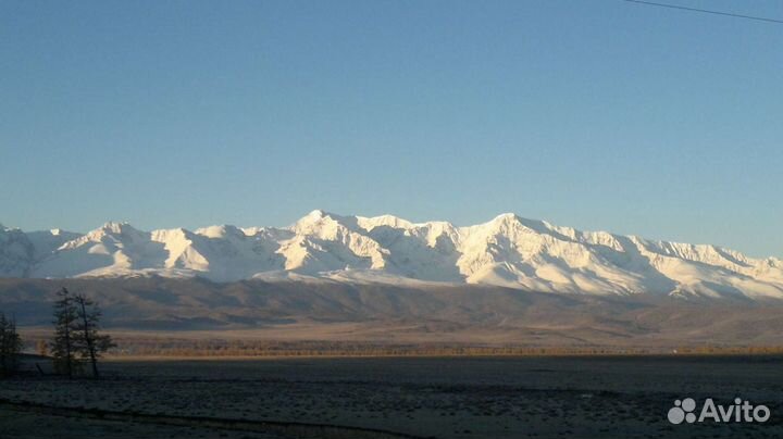 Пассажирская Газель + прицеп