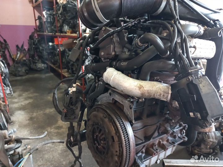 Двигатель BKC 1.9 TDI VW Passat B6, Golf 5, T5