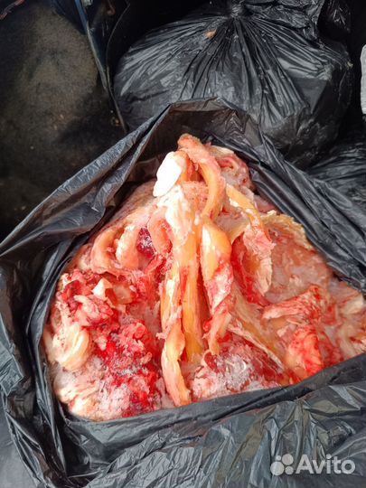 Говяжья обрезь для собак