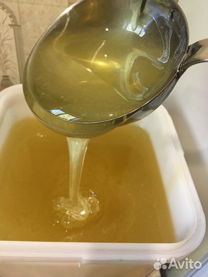 Мед горный оптом