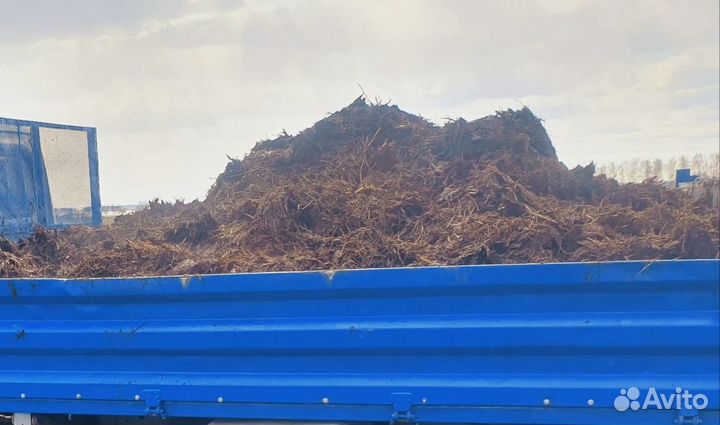 Навоз, чернозем, перегной, грунт от 1м3