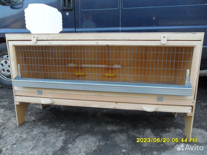 Брудер для суточной домашней птицы