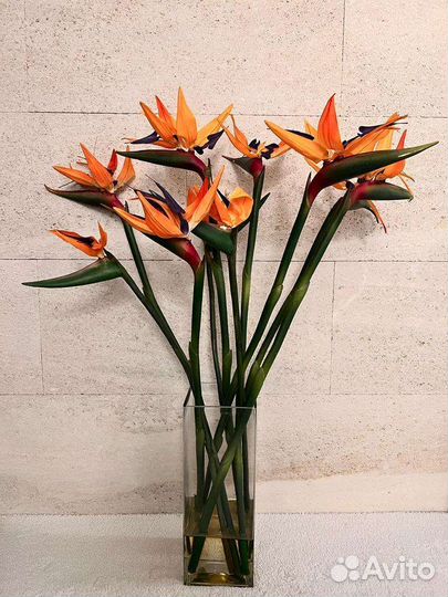 Искуственная композиция