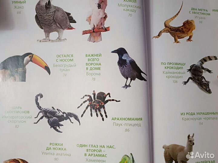 Книга Ольги Волковой