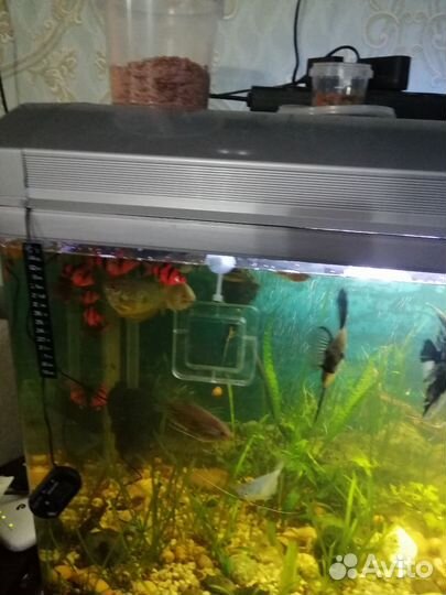 Украшение для аквариума