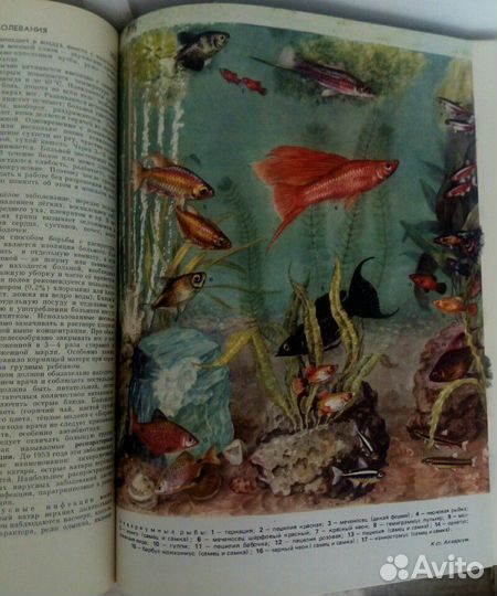 Краткая энциклопедия домашнего хозяйства